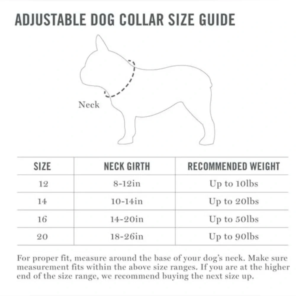 NWT [Martha Stewart] Adjustable Nylon Dog Collar in Dress Coral, Multiple Sizes!